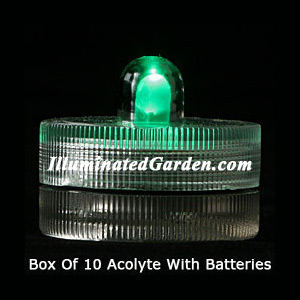 Green Acolyte Submersible #08420 FloraLyte Pack of 10