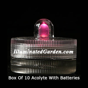Pink Acolyte Submersible #08920 FloraLyte Pack of 10